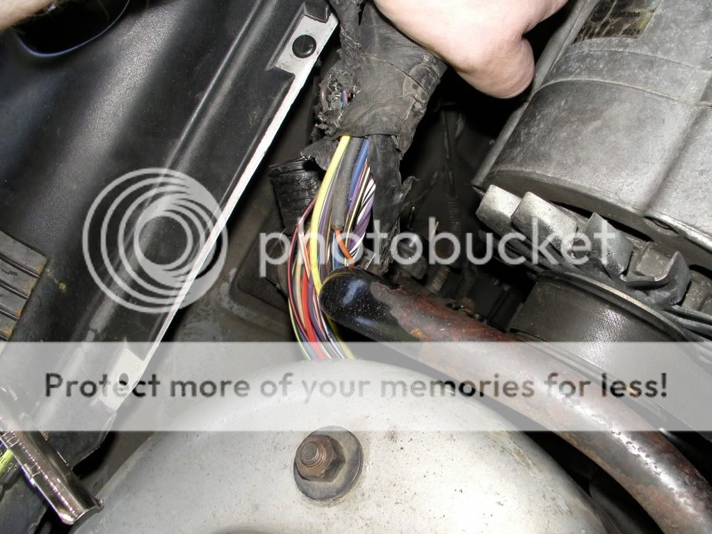 Help Fuel Pump Kill Switch Which Wire Hondatech
